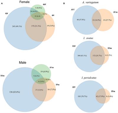 Sex-Specific Linkages Between Taxonomic and Functional Profiles of Tick Gut Microbiomes